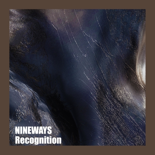 NineWays - Recognition [196623923434]